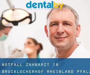 Notfall-Zahnarzt in Brücklocherhof (Rheinland-Pfalz)