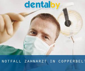 Notfall-Zahnarzt in Copperbelt