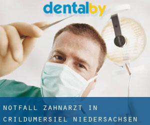 Notfall-Zahnarzt in Crildumersiel (Niedersachsen)