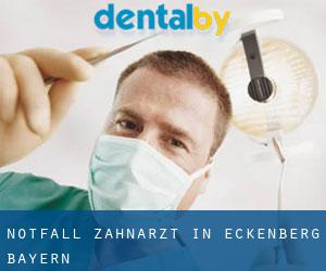 Notfall-Zahnarzt in Eckenberg (Bayern)