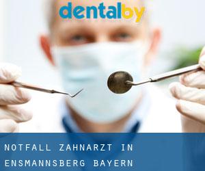 Notfall-Zahnarzt in Ensmannsberg (Bayern)
