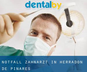 Notfall-Zahnarzt in Herradón de Pinares