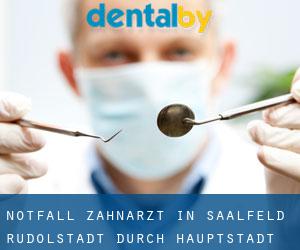 Notfall-Zahnarzt in Saalfeld-Rudolstadt durch hauptstadt - Seite 1