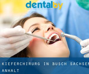 Kieferchirurg in Busch (Sachsen-Anhalt)