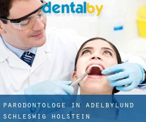 Parodontologe in Adelbylund (Schleswig-Holstein)