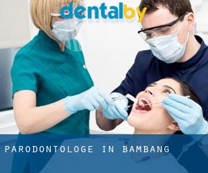 Parodontologe in Bambang