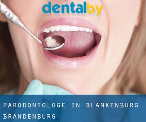 Parodontologe in Blankenburg (Brandenburg)