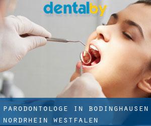 Parodontologe in Bödinghausen (Nordrhein-Westfalen)
