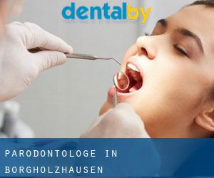 Parodontologe in Borgholzhausen