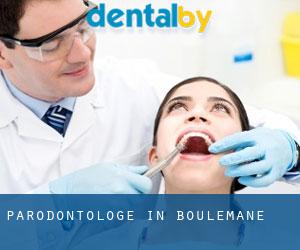 Parodontologe in Boulemane