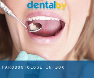 Parodontologe in Box