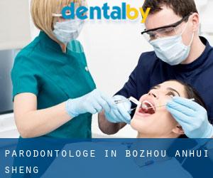 Parodontologe in Bozhou (Anhui Sheng)