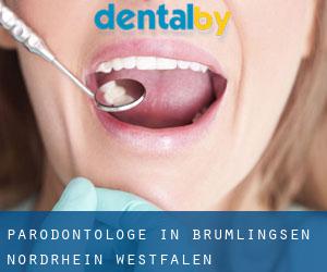 Parodontologe in Brumlingsen (Nordrhein-Westfalen)