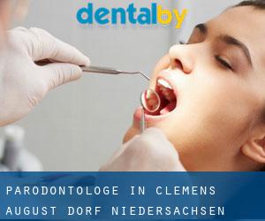 Parodontologe in Clemens-August-Dorf (Niedersachsen)