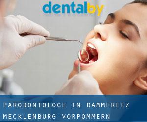 Parodontologe in Dammereez (Mecklenburg-Vorpommern)