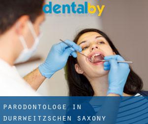Parodontologe in Dürrweitzschen (Saxony)