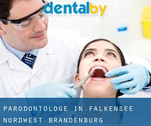 Parodontologe in Falkensee-Nordwest (Brandenburg)