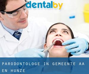 Parodontologe in Gemeente Aa en Hunze