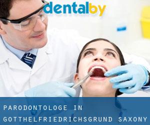 Parodontologe in Gotthelfriedrichsgrund (Saxony)