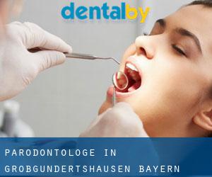 Parodontologe in Großgundertshausen (Bayern)