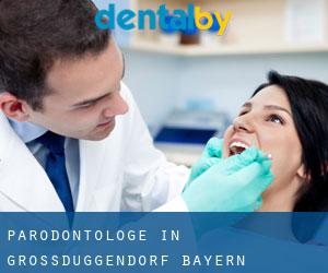Parodontologe in Grossduggendorf (Bayern)