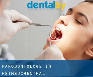 Parodontologe in Heimbuchenthal