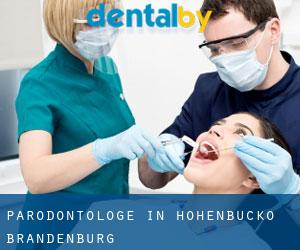 Parodontologe in Hohenbucko (Brandenburg)