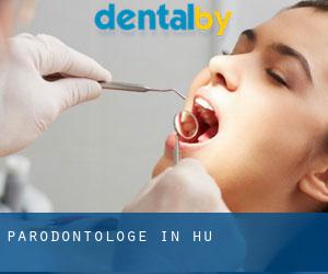 Parodontologe in Huế