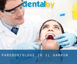 Parodontologe in Il-Ħamrun