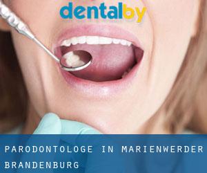 Parodontologe in Marienwerder (Brandenburg)