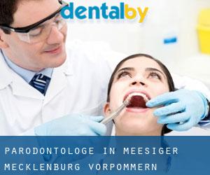 Parodontologe in Meesiger (Mecklenburg-Vorpommern)