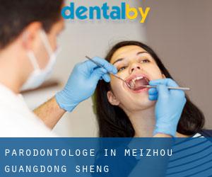 Parodontologe in Meizhou (Guangdong Sheng)