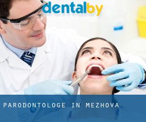 Parodontologe in Mezhova