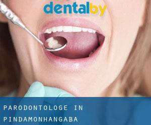 Parodontologe in Pindamonhangaba