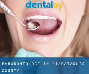 Parodontologe in Piscataquis County