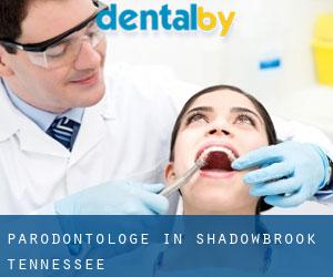Parodontologe in Shadowbrook (Tennessee)
