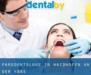 Parodontologe in Waidhofen an der Ybbs