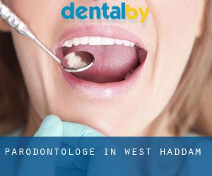 Parodontologe in West Haddam