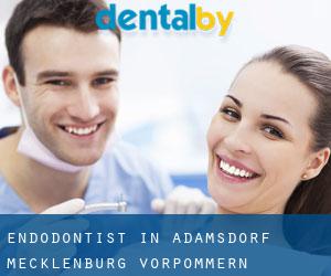 Endodontist in Adamsdorf (Mecklenburg-Vorpommern)
