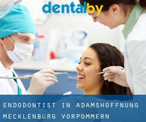 Endodontist in Adamshoffnung (Mecklenburg-Vorpommern)