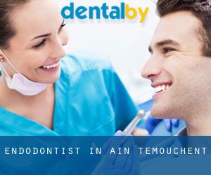 Endodontist in Aïn Temouchent