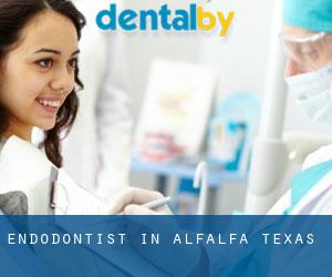 Endodontist in Alfalfa (Texas)