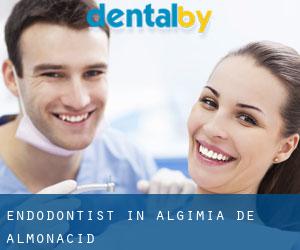 Endodontist in Algimia de Almonacid