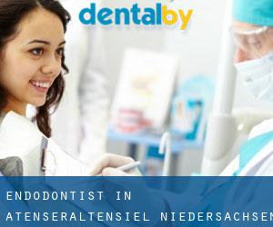 Endodontist in Atenseraltensiel (Niedersachsen)