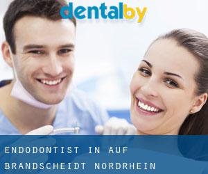 Endodontist in Auf Brandscheidt (Nordrhein-Westfalen)