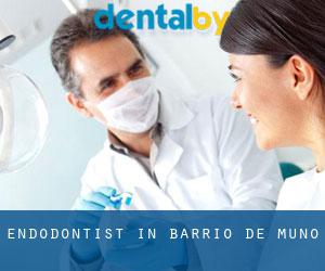 Endodontist in Barrio de Muñó