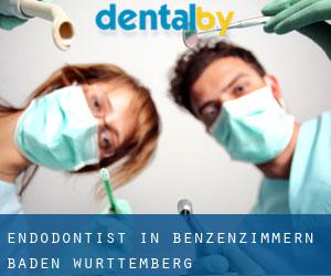 Endodontist in Benzenzimmern (Baden-Württemberg)
