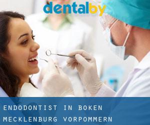 Endodontist in Böken (Mecklenburg-Vorpommern)