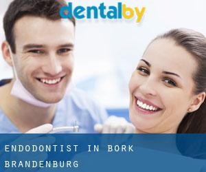 Endodontist in Bork (Brandenburg)