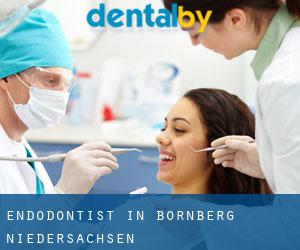 Endodontist in Bornberg (Niedersachsen)